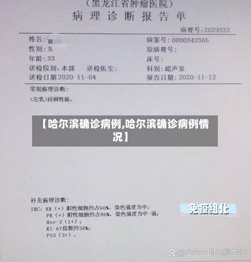 【哈尔滨确诊病例,哈尔滨确诊病例情况】