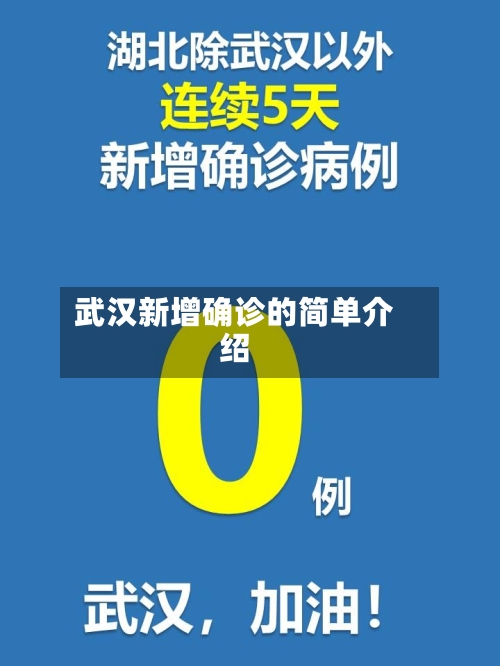 武汉新增确诊的简单介绍-第3张图片