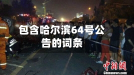 包含哈尔滨64号公告的词条