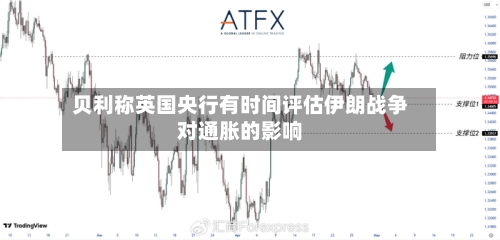 贝利称英国央行有时间评估伊朗战争对通胀的影响-第2张图片