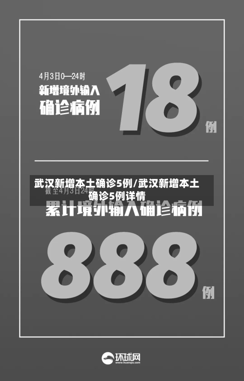 武汉新增本土确诊5例/武汉新增本土确诊5例详情-第3张图片