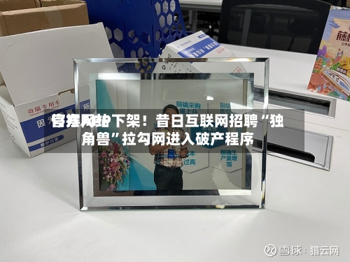 官方网站停摆APP下架！昔日互联网招聘“独角兽	”拉勾网进入破产程序-第2张图片