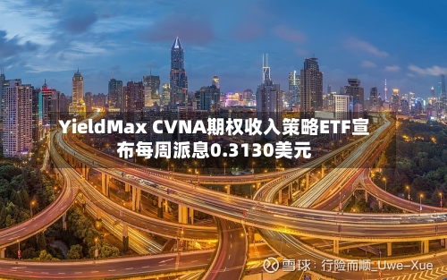 YieldMax CVNA期权收入策略ETF宣布每周派息0.3130美元