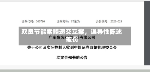 双良节能索赔递交立案	，误导性陈述被罚-第2张图片