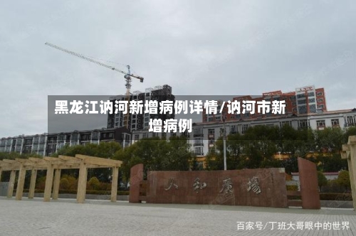 黑龙江讷河新增病例详情/讷河市新增病例-第2张图片