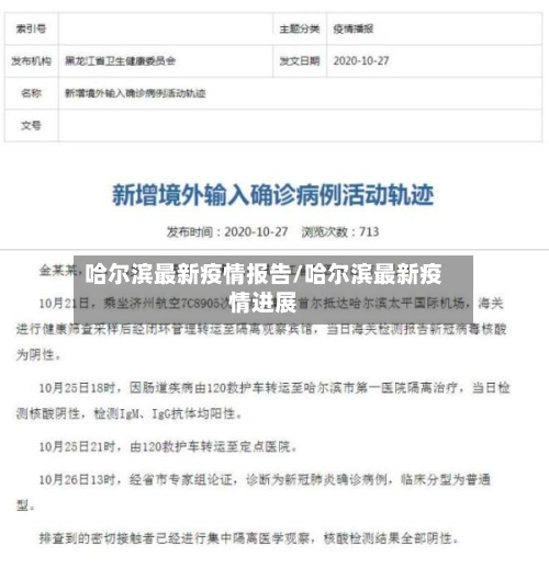 哈尔滨最新疫情报告/哈尔滨最新疫情进展