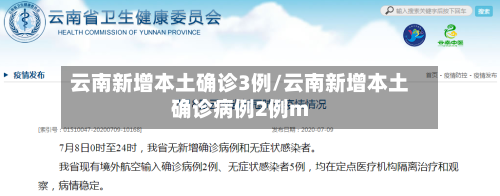 云南新增本土确诊3例/云南新增本土确诊病例2例m-第2张图片