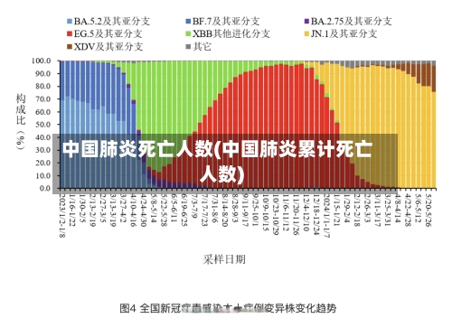 中国肺炎死亡人数(中国肺炎累计死亡人数)-第2张图片