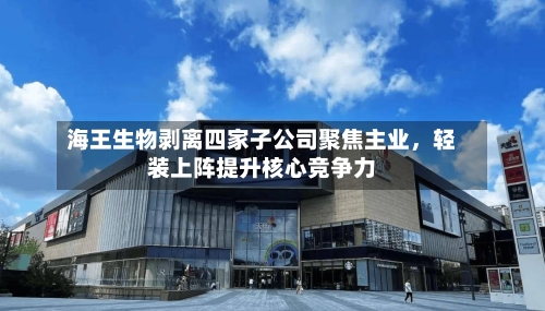 海王生物剥离四家子公司聚焦主业，轻装上阵提升核心竞争力-第2张图片