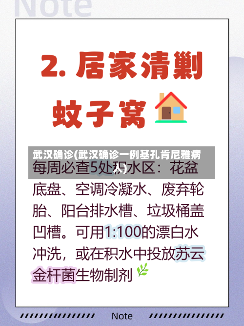 武汉确诊(武汉确诊一例基孔肯尼雅病人)