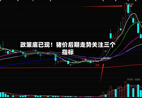 政策底已现！猪价后期走势关注三个指标-第2张图片