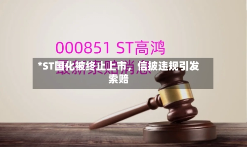 *ST国化被终止上市	，信披违规引发索赔-第3张图片