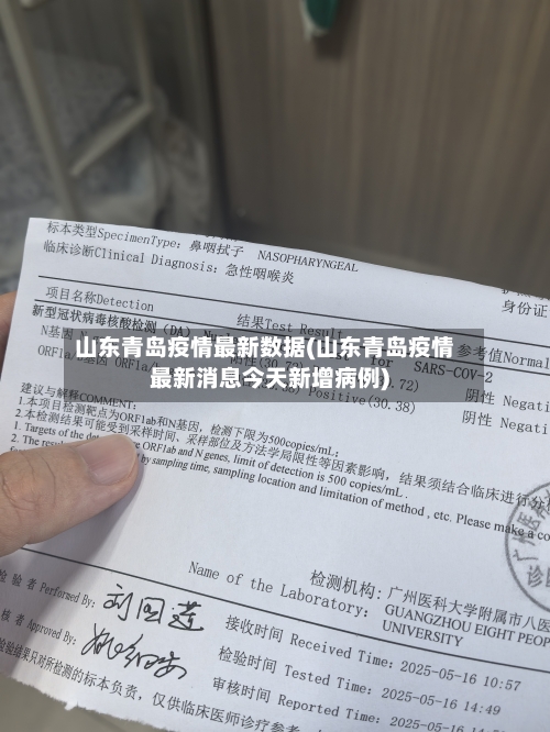 山东青岛疫情最新数据(山东青岛疫情最新消息今天新增病例)-第3张图片