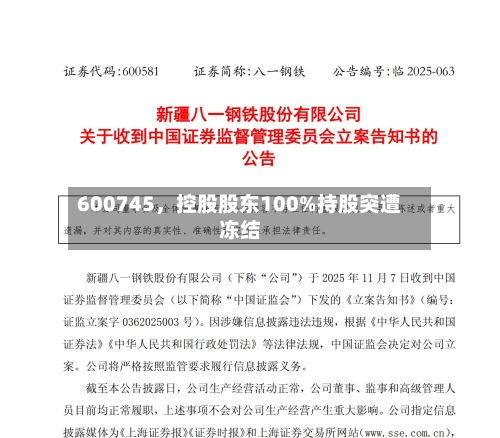 600745，控股股东100%持股突遭冻结
